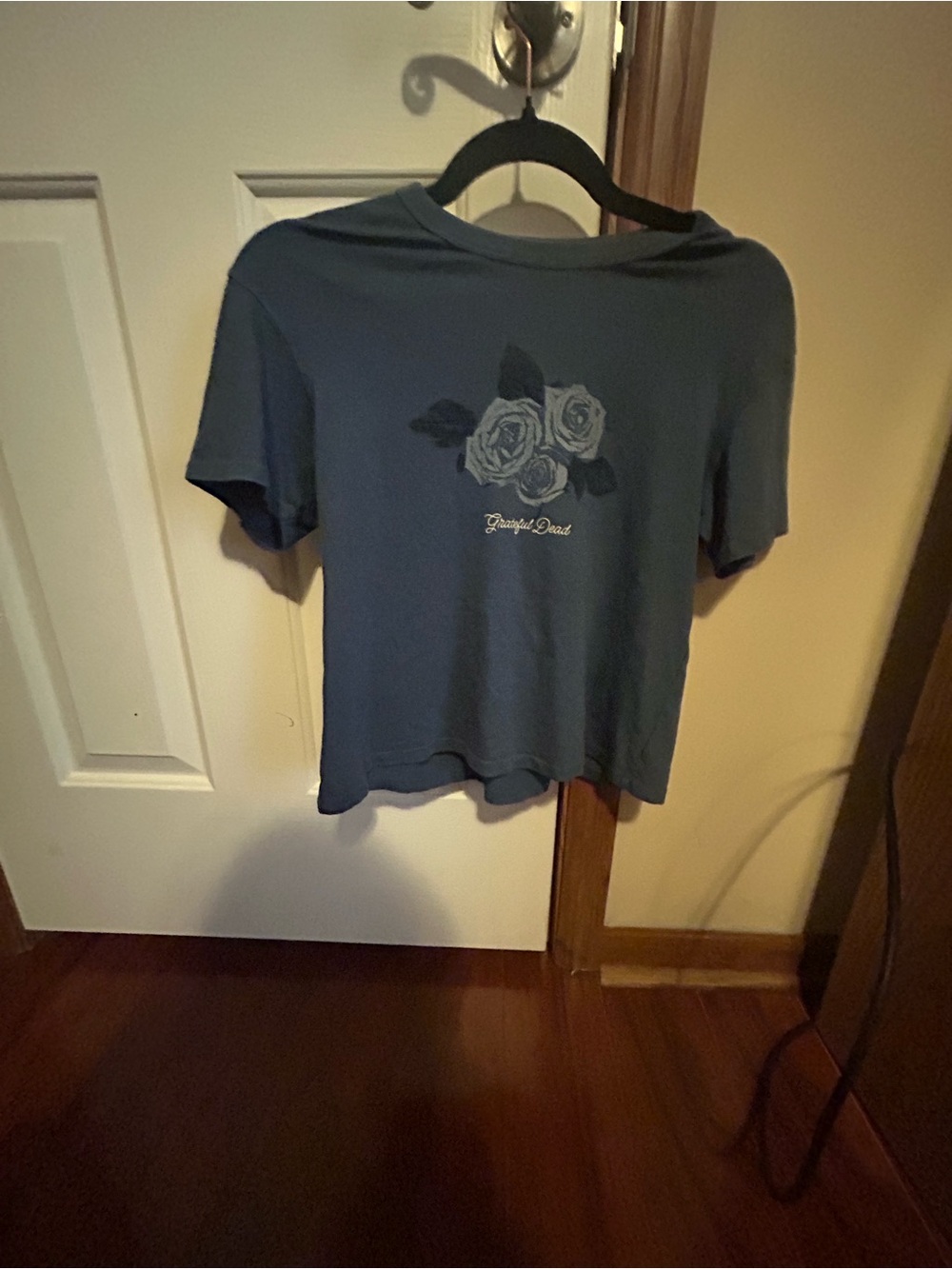 American Eagle Grateful Dead Graphic Crop Tee featuring a triple-rose
